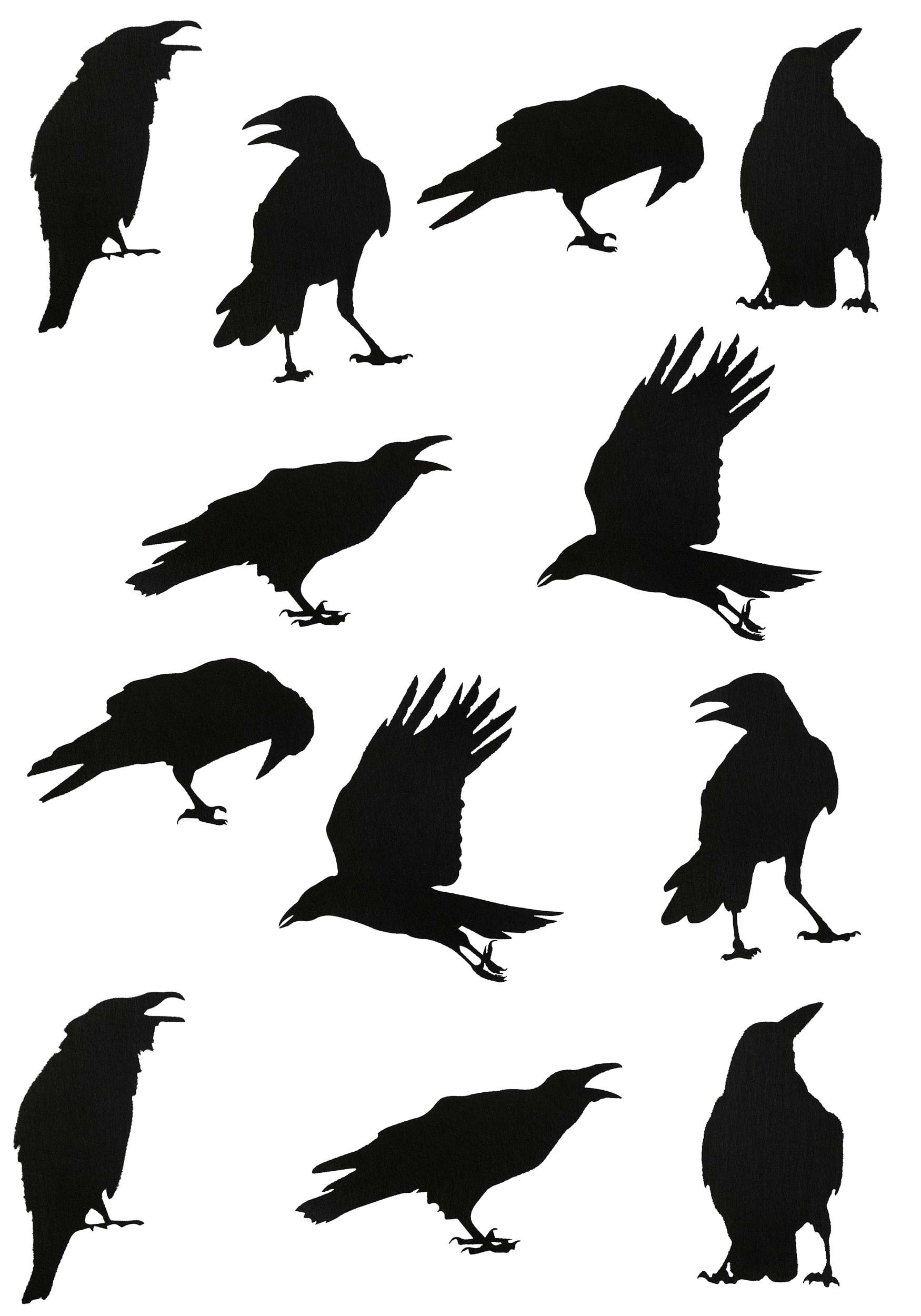 Set Of 12 Black Crow Stickers Decoration , Wall Decorations