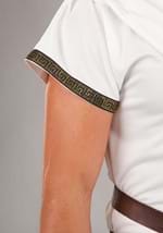Adult Deluxe Greek Warrior Costume Alt 2