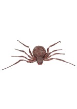 Spider grotesque Alt 1