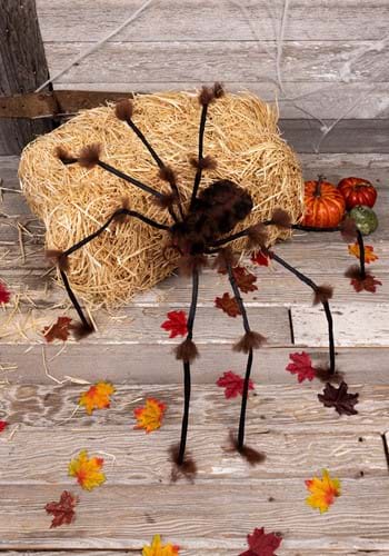 Large spider hairy brown