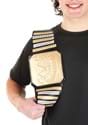 Generic Wrestling Championship Belt