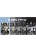 Angel to Demon Light Changing Window Poster Alt 5