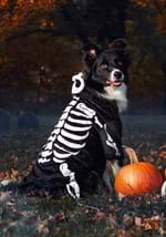 Skeleton Pet Costume Alt 2