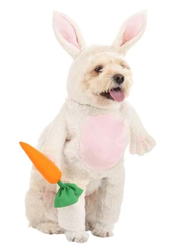 Fluffy Bunny Dog Costume