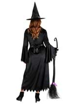 Adult Classic Wicked Witch Costume Alt 1