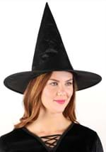 Adult Classic Wicked Witch Costume Alt 5