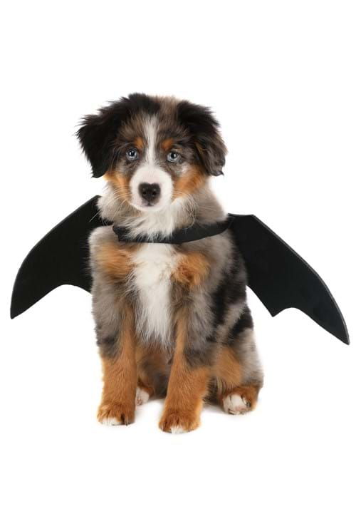 Bat Wings Pet Costume 