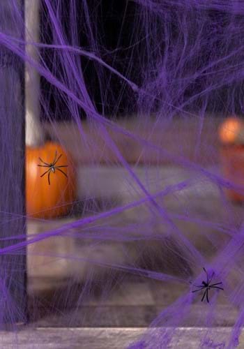 Purple Spider Web Decoration