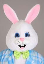 Adult Deluxe Easter Bunny Mascot Costume Alt 2