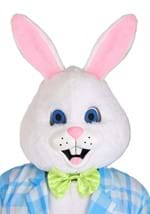 Adult Deluxe Easter Bunny Mascot Costume Alt 2
