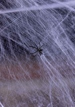 240 Gram White Spider Web Decoration Alt 1