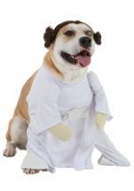 Star Wars Princess Leia Dog Costume Alt 1