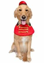 Pet Nutcracker Soldier Costume