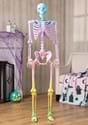 Crazy Bones Poseable Skeleton in Rainbow