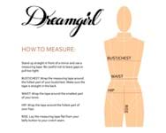 Women's Plus Size Gingham Costume Dress