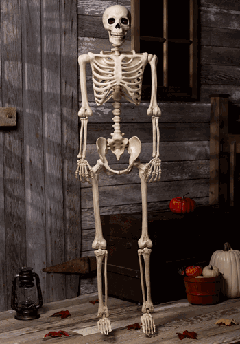5ft Poseable Red Light Up Face & Chest Skeleton
