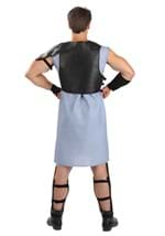 Adult Gladiator Arena Maximus Costume Alt 1