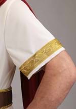 Adult Roman Emperor Costume Alt 6
