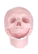 Pink Pastel Skull Alt 1
