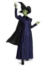 Wicked Adult Deluxe Elphaba Costume