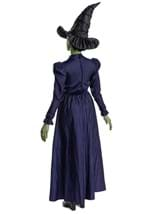 Wicked Adult Deluxe Elphaba Costume Alt 2