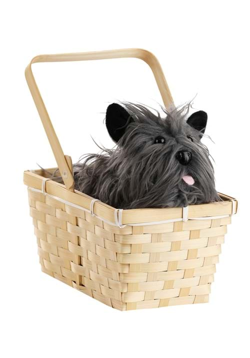 Toto in a Basket