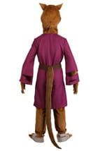 Adult TMNT Master Splinter Costume Alt 7