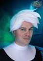 Adult Nickelodeon Danny Phantom Costume Wig