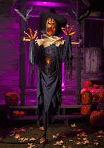 Animated Raven Scarecrow Alt 8