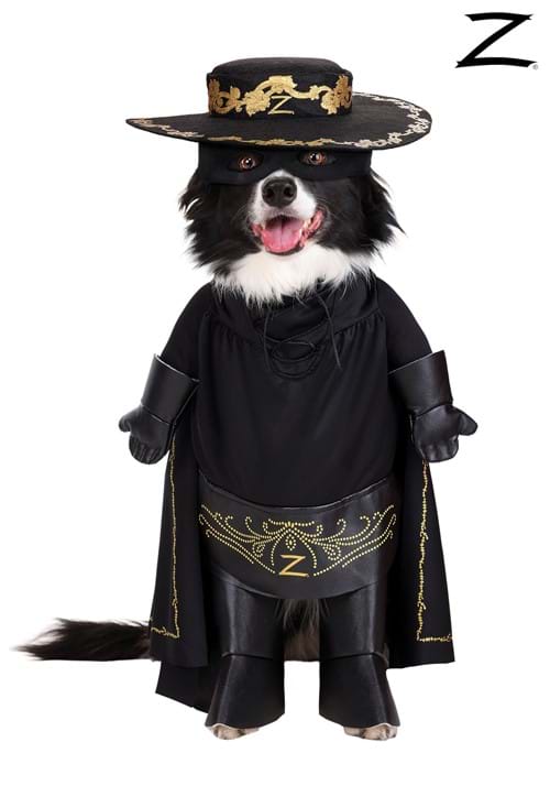 Zorro Pet Costume