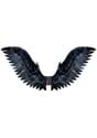 Raven Cosplay Wings