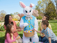 Adult Seasonal Easter Bunny Costume