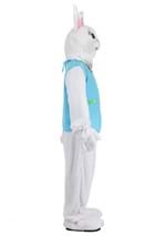 Easter Bunny Costume Alt 10