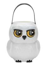 Harry Potter Hedwig Treat Pail Alt 3