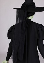 Adult Premium Wizard of Oz Wicked Witch Costume Alt 8