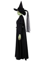 Adult Premium Wizard of Oz Wicked Witch Costume Alt 2