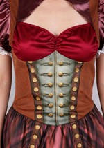 Plus Size Steampunk Costume for Women Alt 4