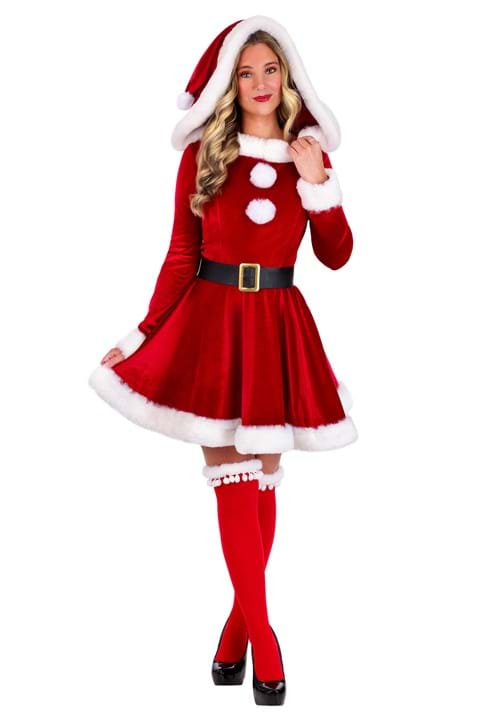 Sexy Womens Santa Costume