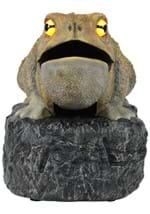 CROAKING TOAD LIGHT UP Alt 1
