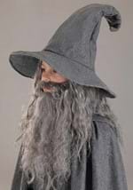 Kids Gandalf Lord of the Rings Costume Alt 3